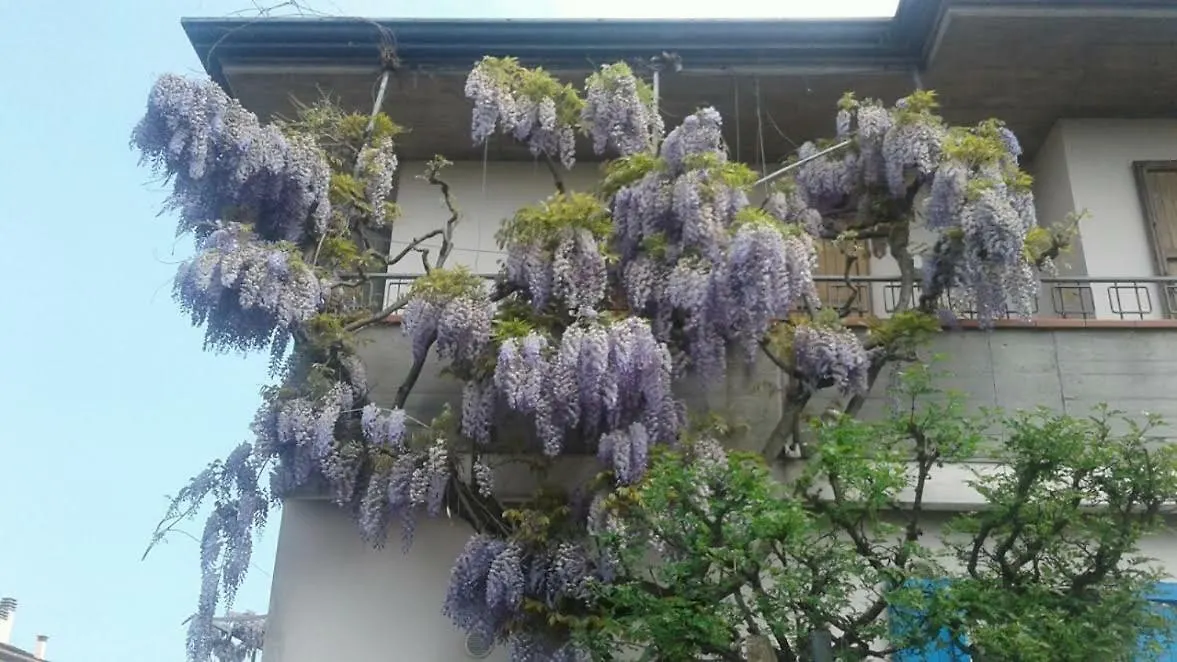 Bed & Breakfast B&B Lo Spazio Magico San Martino